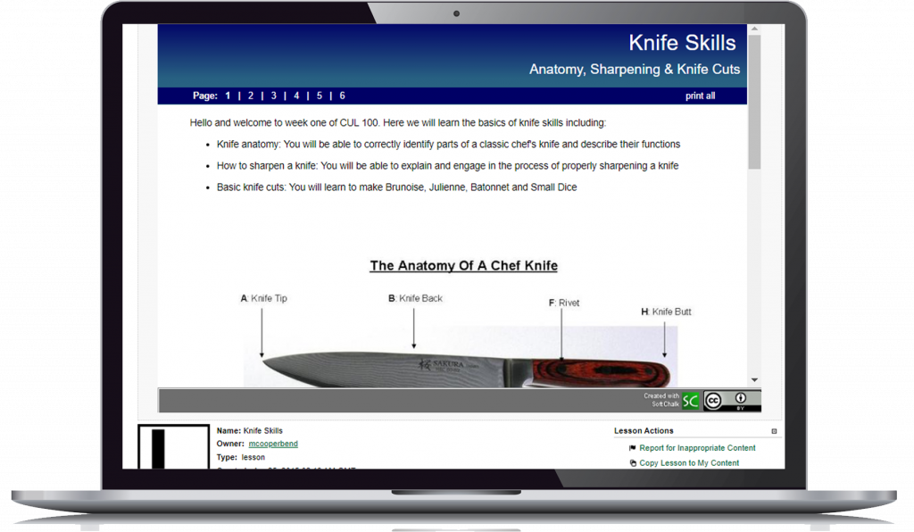 laptop showing sample lesson called "knife skills"